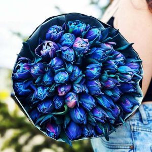 Blooming dreams: 50 tulips in all their beauty