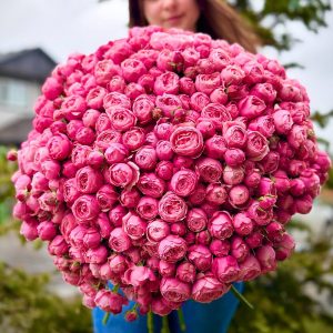 Silva Pink Spray Rose - Delicate and Enchanting Addition to Floral Arrangements.