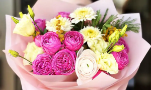Flower Delicacy. Feathery Leaves And Miniature Flowers of Mimosa