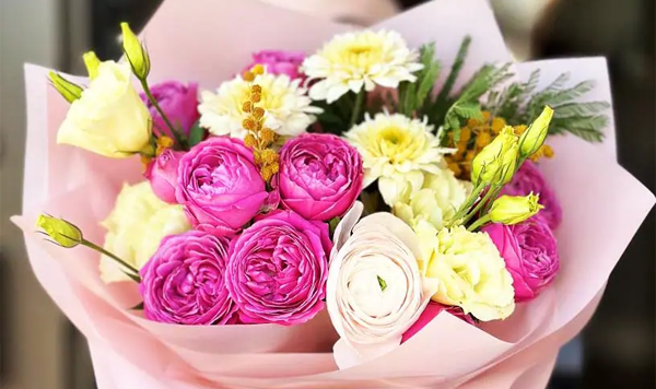 Flower Delicacy. Feathery Leaves And Miniature Flowers of Mimosa